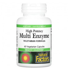 High Potency Multi Enzyme, 60 Vegetarian Capsules