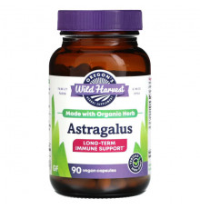 Organic Astragalus, 90 Organic Vegan Capsules