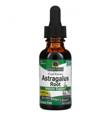 Astragalus Root, Fluid Extract, Alcohol-Free, 2,000 mg, 1 fl oz (30 ml)