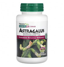 Herbal Actives, Astragalus, 450 mg, 60 Vegan Capsules