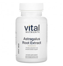 Astragalus Root Extract, 90 Vegan Capsules