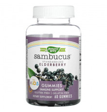 Nature's Way, Sambucus, стандартизированный экстракт бузины для детей, 60 жевательных конфет