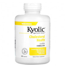 Kyolic, Aged Garlic Extract, экстракт чеснока с лецитином, состав 104 для снижения уровня холестерина, 100 капсул