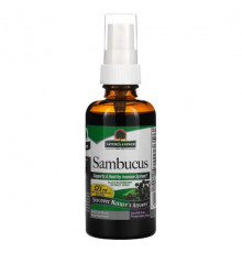 Sambucus, Black Elderberry Extract Spray, Alcohol-Free, 2 fl oz (60 ml)