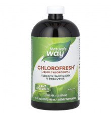 Nature's Way, Chlorofresh, жидкий хлорофилл, мята, 132 мг, 480 мл (16 жидк. унций)