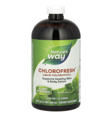 Nature's Way, Chlorofresh, жидкий хлорофилл, мята, 132 мг, 480 мл (16 жидк. унций)