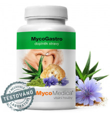 MycoGastro 90 г