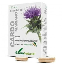 Расторопша пятнистая (Silybum marianum) Soria Natural Расторопша пятнистая 30 штук