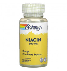 Niacin, 100 mg, 100 VegCaps