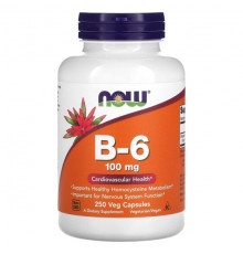 B-6, 100 mg, 250 Veg Capsules